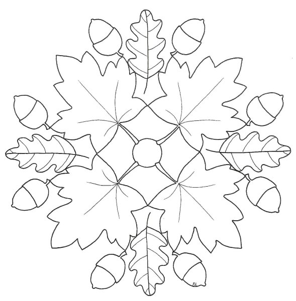 Осенний букет раскраска для детей