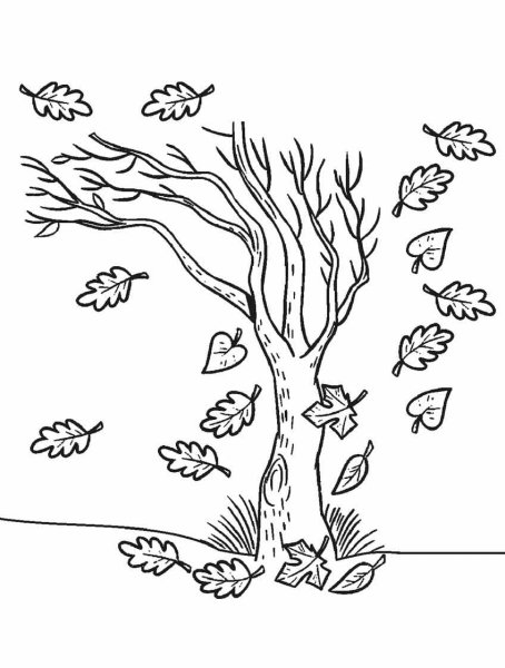 Осень раскраска для детей