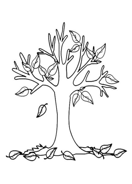 Раскраска деревья осенью