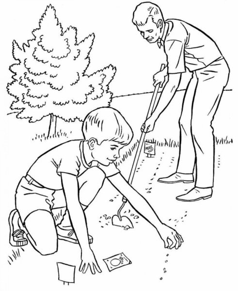 Раскраска сажать деревья