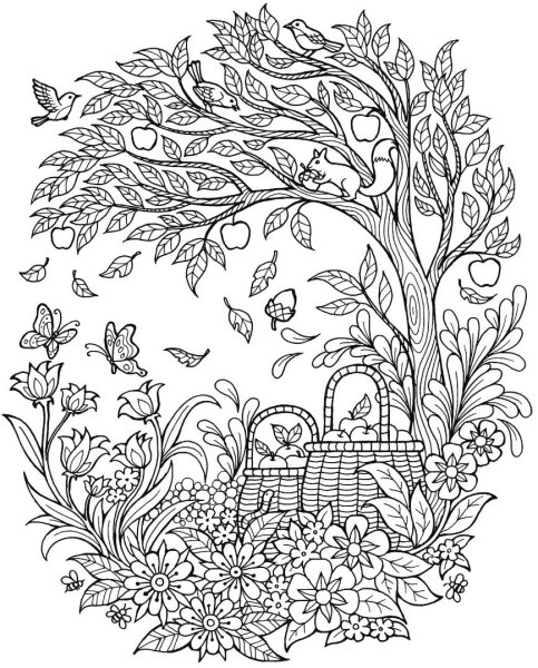 Осенние раскраски антист