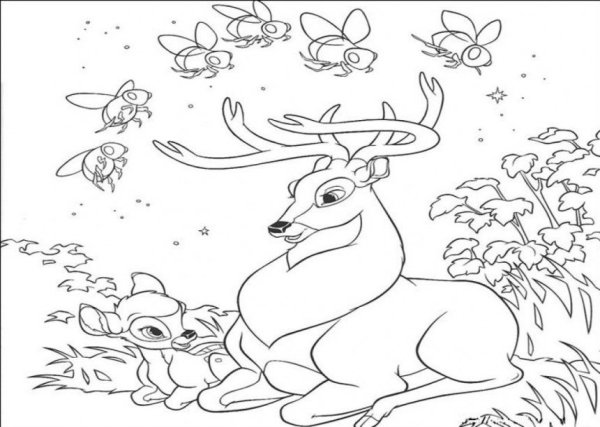 Раскраски для детей природа и животные