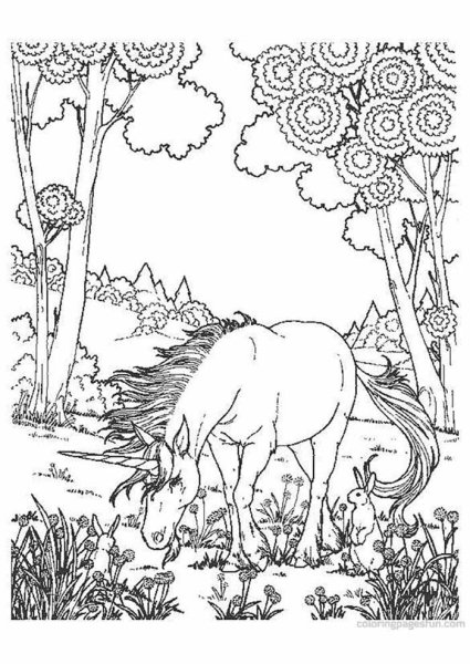 Раскраски природа красивые