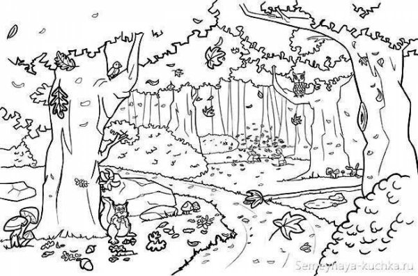 Раскраска осенний лес