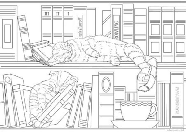 Книжные полки раскраска