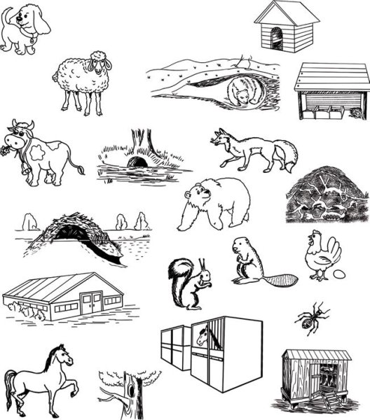 Задание кто где живет