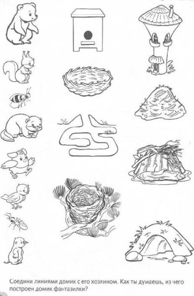 Жилища животных задания для дошкольников