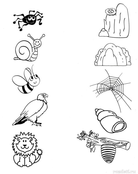 Задания для дошкольников