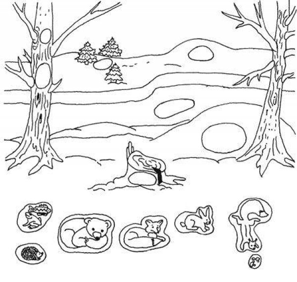 Дикие животные зимой задания для дошкольников