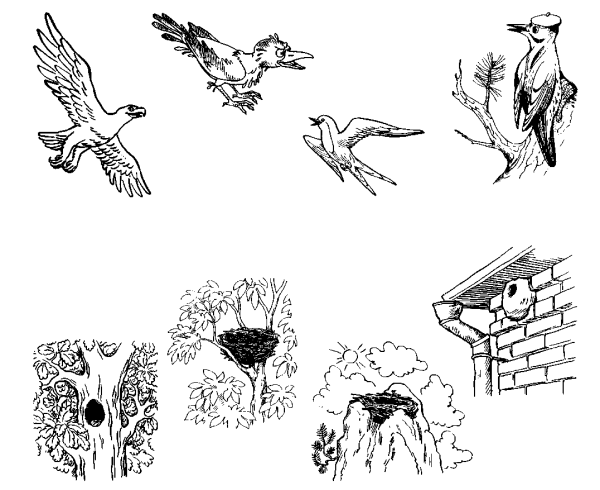 Перелетные птицы задания для дошкольников