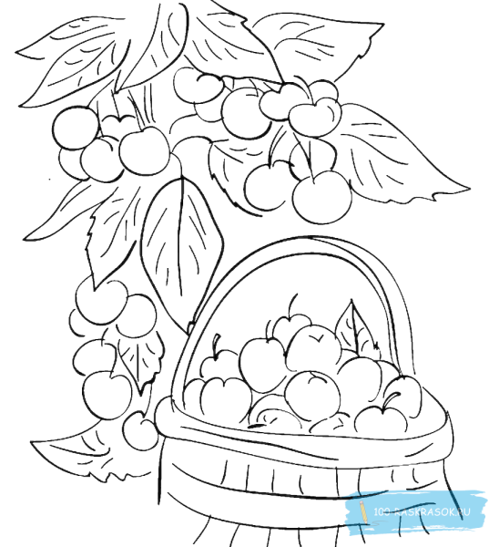 Натюрморт раскраска для детей