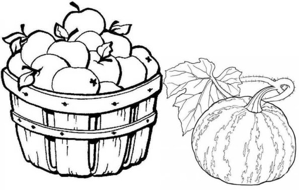 Дары осени раскраски для детей