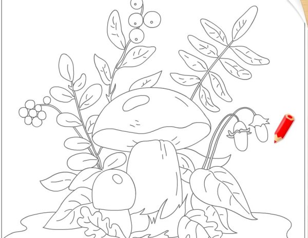 Осенние грибы раскраска для детей