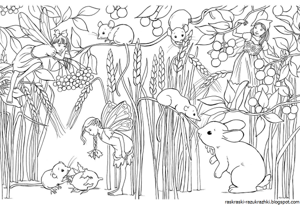 Раскраска природа