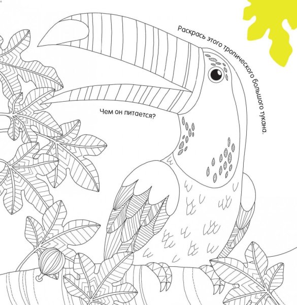 Наклейки природы для раскрашивания