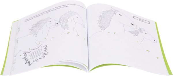 Чудеса дикой природы раскрашено