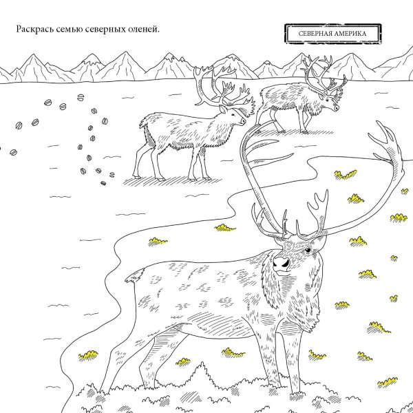 Чудеса дикой природы раскрашено