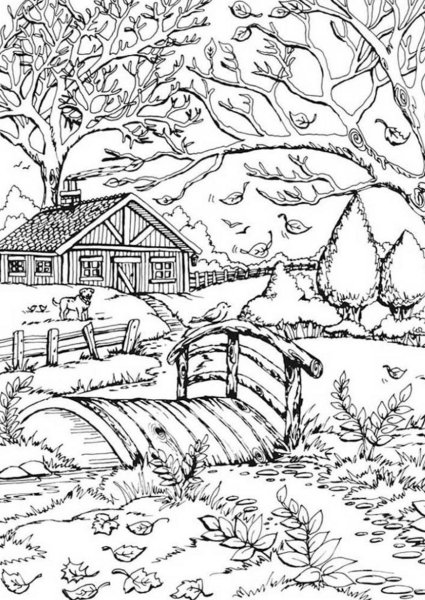 Раскраска пейзаж