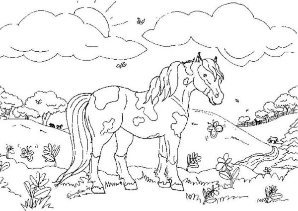 Лошади на лугу раскраска