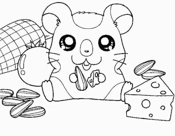 Раскраска хомячок