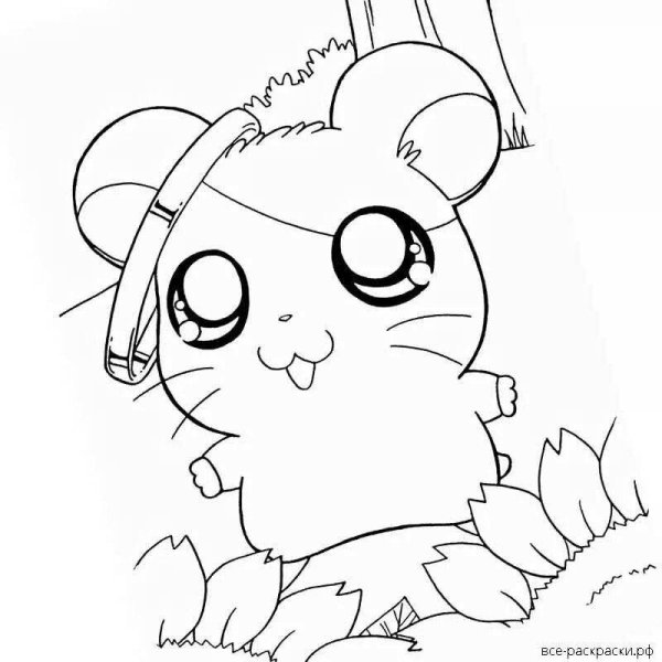 Раскраски для девочек хомяки
