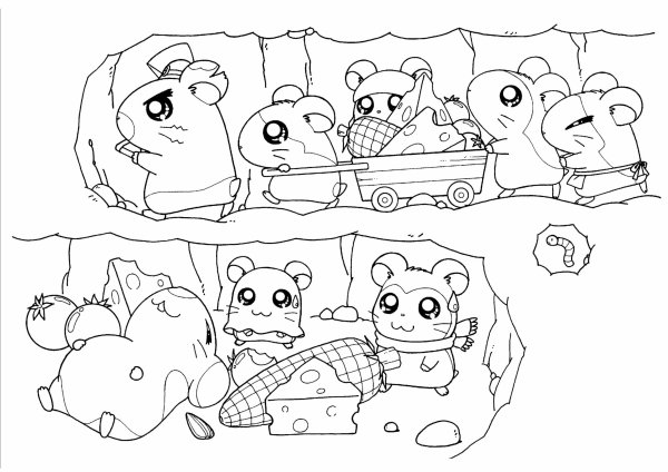 Раскраска мир хомячков