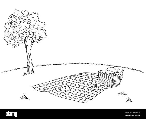 Пикник на природе карандашом