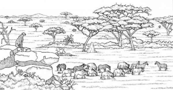 Саванна раскраска для детей