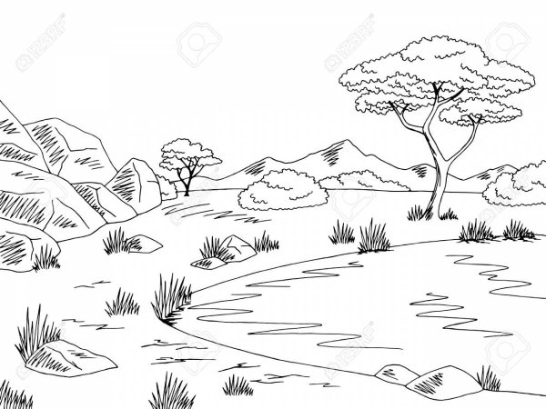Раскраска Африканский пейзаж