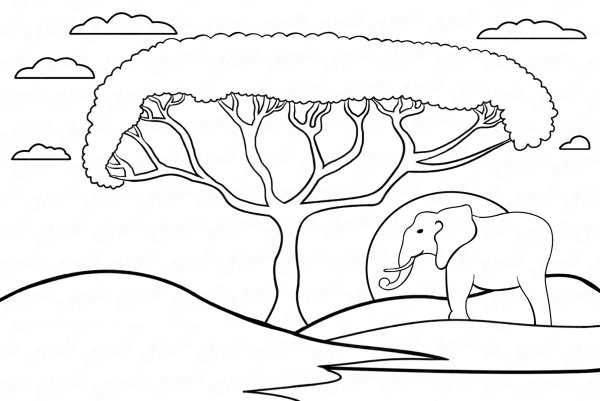 Саванна раскраска для детей