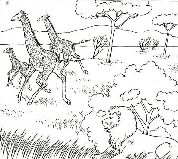 Раскраска Африка природа