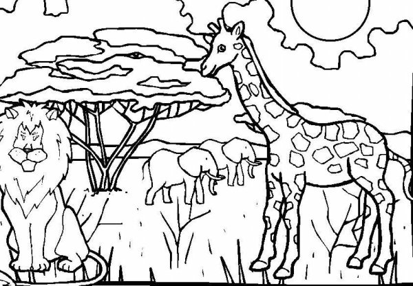 Раскраска Африка