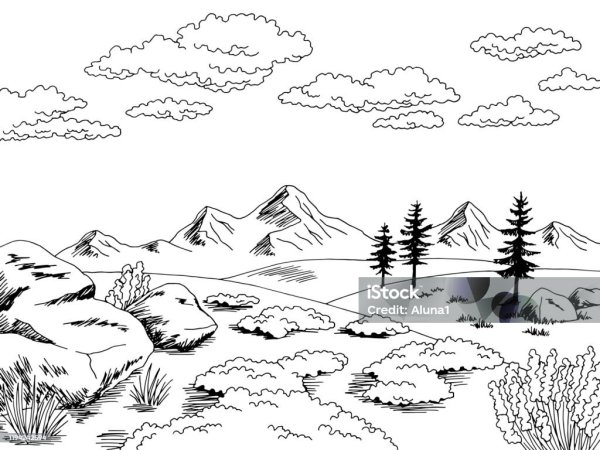 Раскраска тундра природа