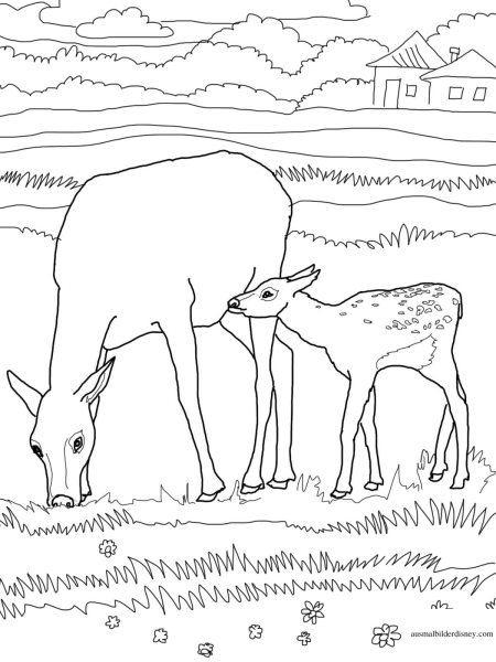 Тундра раскраска