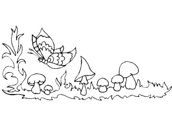 Раскраска Полянка