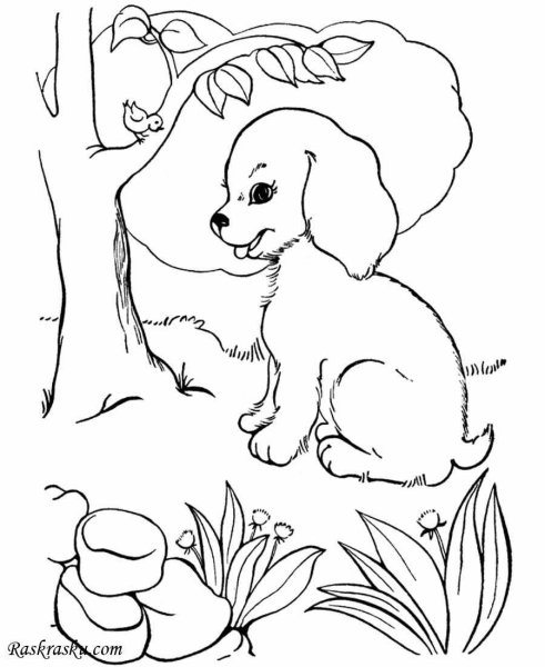 Раскраски для детей природа и животные