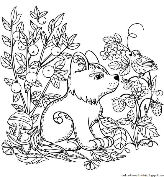 Раскраски. Животные