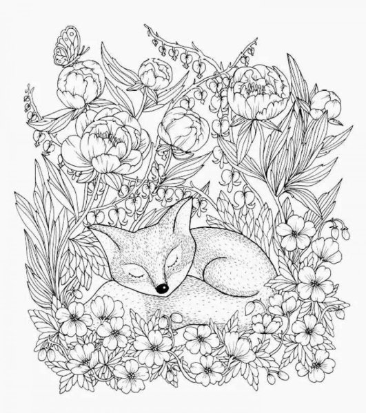 Мария тролле в Сумеречный сад лиса