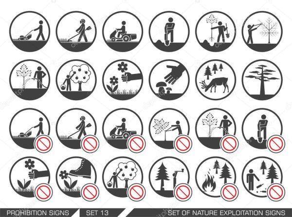 Разрешающие знаки в природе