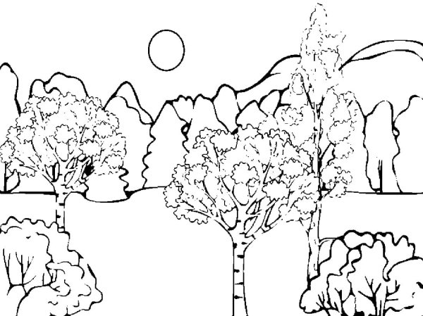 Осенний пейзаж раскраска