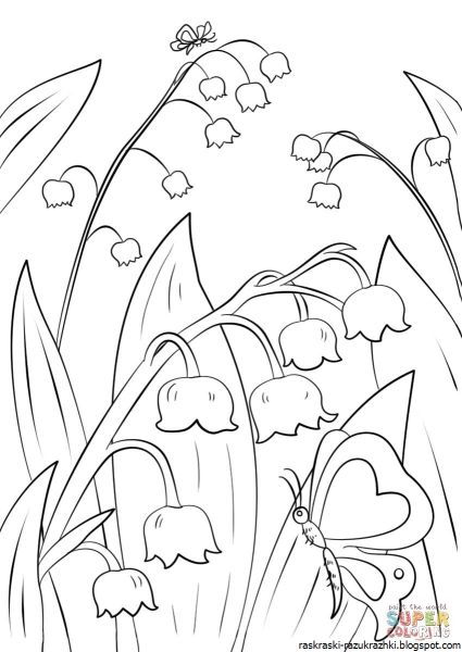 Раскраска природа для детей