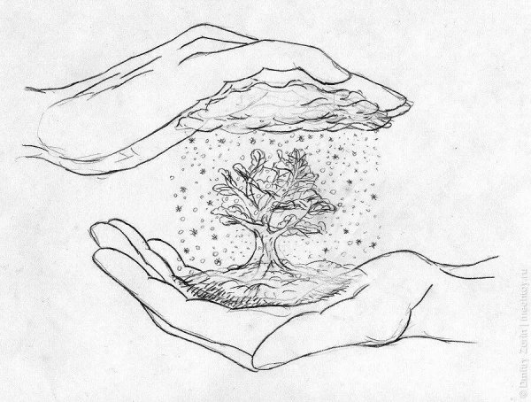 Рисунки природы карандашом для срисовки