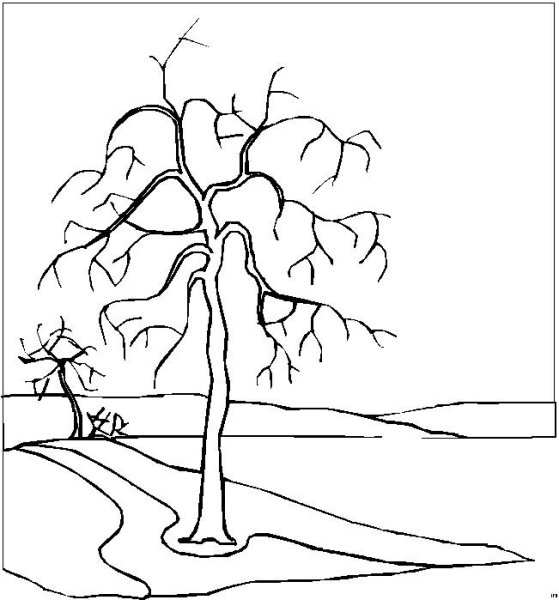 Пейзаж деревья раскраска