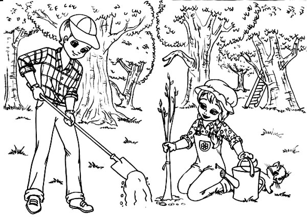 Раскраска сажать деревья