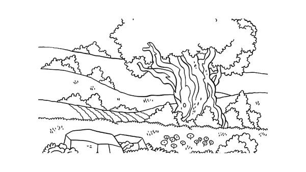 Раскраска природа