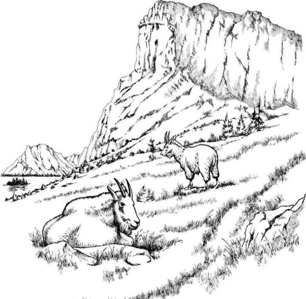 Горный пейзаж раскраска