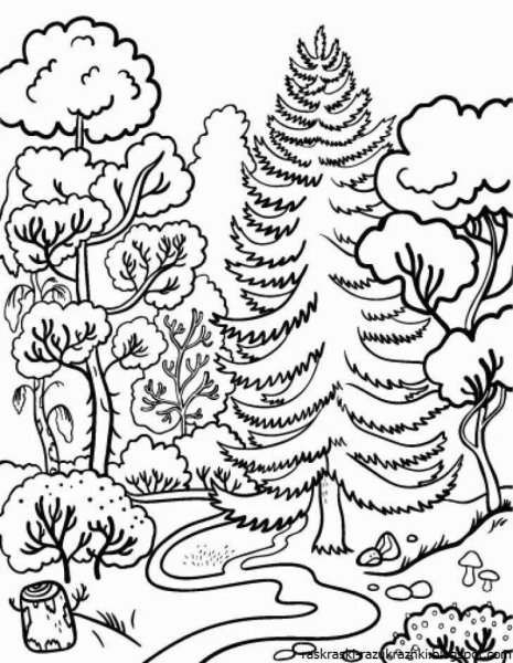 Лес раскраска для детей