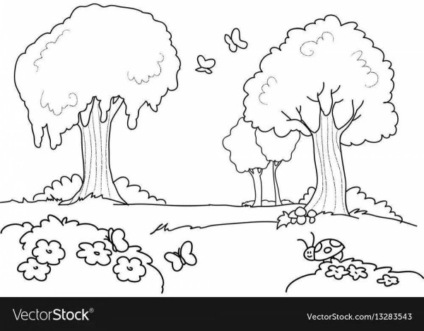 Раскраска Лесная Поляна