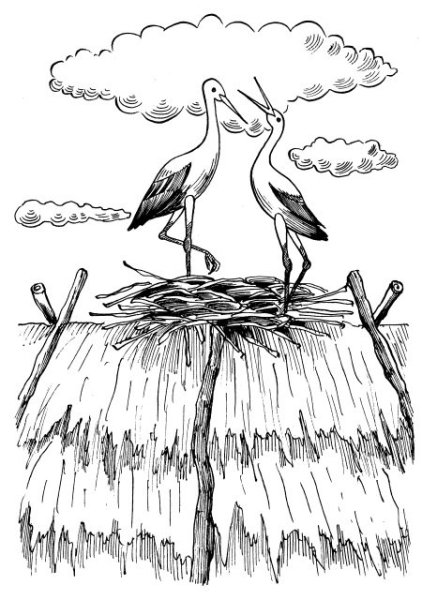 Нарисовать аиста в гнезде