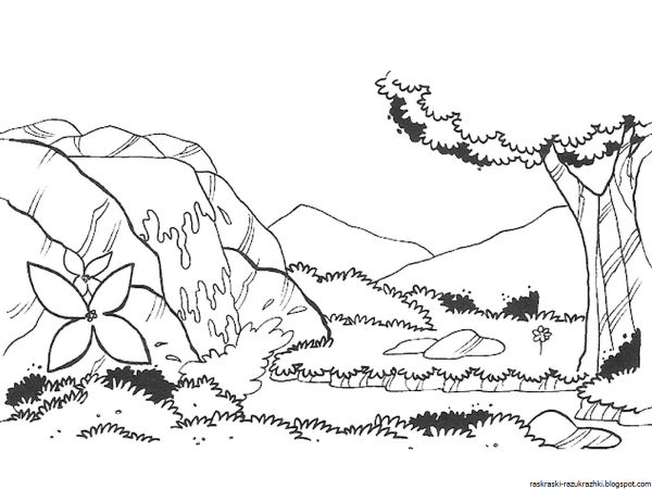 Раскраска природа